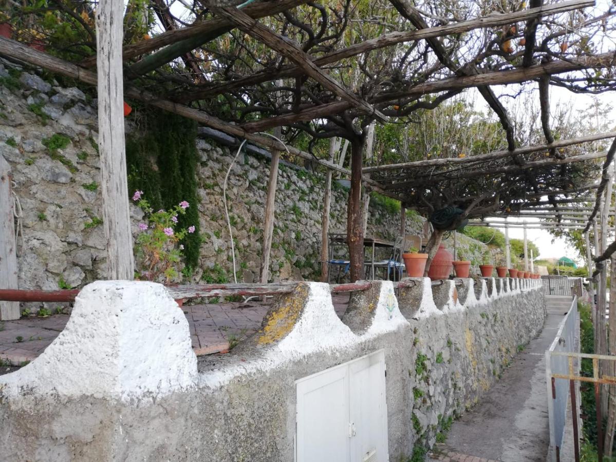 芭芭拉之家住宿加早餐旅馆 阿马尔菲 外观 照片